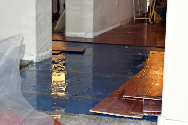Professional Water Damage Restoration technician working in Farmington Falls, ME